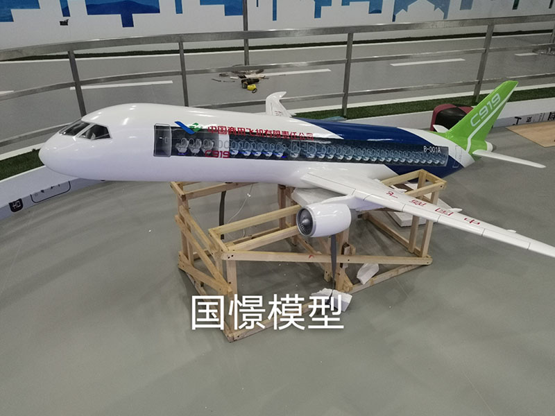 浦北县飞机模型