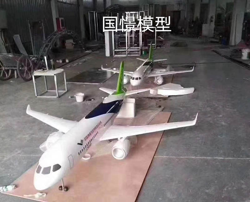 浦北县飞机模型